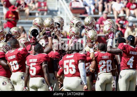 5. Oktober 2013: Die Florida State Seminoles treffen sich auf dem Spielfeld, bevor das Spiel zwischen den Maryland Terrapins und den Florida State Seminoles im Doak S. Campbell Stadium beginnt. (Bild: © Gray Quetti/Cal Sport Media/ZUMAPRESS.com) Stockfoto