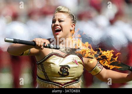 5. Oktober 2013: Eine Majorette der Florida State Seminoles wirbelt eine Fackel vor dem Spiel zwischen den Maryland Terrapins und den Florida State Seminoles im Doak S. Campbell Stadium. (Bild: © Gray Quetti/Cal Sport Media/ZUMAPRESS.com) Stockfoto