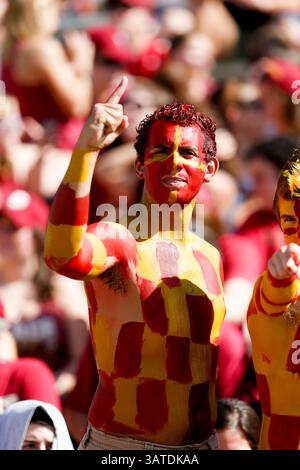 5. Oktober 2013: Ein Fan der Florida State Seminoles jubelt während des Spiels zwischen den Maryland Terrapins und den Florida State Seminoles im Doak S. Campbell Stadium. (Bild: © Gray Quetti/Cal Sport Media/ZUMAPRESS.com) Stockfoto