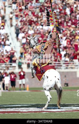 5. Oktober 2013: Der Maskottchen der Florida State Seminoles Osceola setzt seinen Speer ein, um das Spiel zwischen den Maryland Terrapins und den Florida State Seminoles im Doak S. Campbell Stadium zu starten. (Bild: © Gray Quetti/Cal Sport Media/ZUMAPRESS.com) Stockfoto