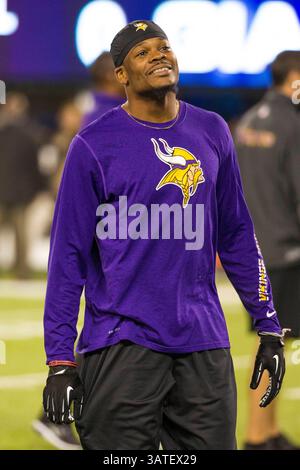 21. Oktober 2013: Der Minnesota Vikings Wide Receiver Jerome Simpson (81) schaut während der Aufwärmphase vor dem Spiel der Minnesota Vikings gegen die New York Giants im MetLife Stadium in East Rutherford, New Jersey zu. (Christopher Szagola/Cal Sport Media)(Bild: © Chris Szagola/Cal Sport Media/ZUMAPRESS.com) Stockfoto