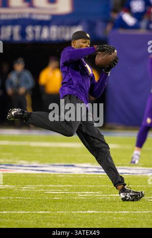 21. Oktober 2013: Jerome Simpson (81), der Minnesota Vikings Wide Receiver, fängt den Ball während der Aufwärmphase vor dem NFL-Spiel zwischen den Minnesota Vikings und den New York Giants im MetLife Stadium in East Rutherford, New Jersey. (Christopher Szagola/Cal Sport Media)(Bild: © Chris Szagola/Cal Sport Media/ZUMAPRESS.com) Stockfoto