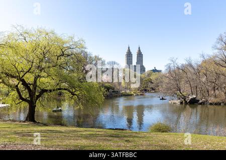 Im April 2025 bewundern Besucher den Central Park, wo blühende Bäume und Grün einen ruhigen See und weit entfernte Türme unter einem klaren blauen Himmel umgeben. Stockfoto