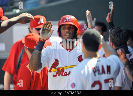 22. Mai 2016: David Washington (Mitte) feiert mit seinen Teamkollegen im Dugout, nachdem er während des sechsten Inning eines MiLB-Baseballspiels zwischen dem Round Rock Express und Memphis Redbirds im AutoZone Park in Memphis, TN, einen Lauf erzielt hat. Memphis gewann mit 8:1. Austin McAfee/CSM(Kreditbild: © Austin McAfee/CSM via ZUMA Wire) Stockfoto