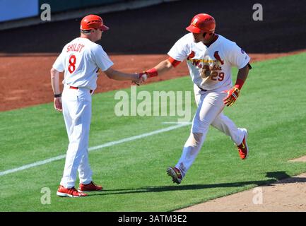 22. Mai 2016: Mike Shildt (8) gratuliert dem ersten Baseman Jonathan Rodriguez (29) als er die dritte Basis umrundet, nachdem er während des Siebenthinning eines MiLB-Baseballspiels zwischen dem Round Rock Express und Memphis Redbirds im AutoZone Park in Memphis, TN, eine Homerun getroffen hat. Memphis gewann mit 8:1. Austin McAfee/CSM(Kreditbild: © Austin McAfee/CSM via ZUMA Wire) Stockfoto