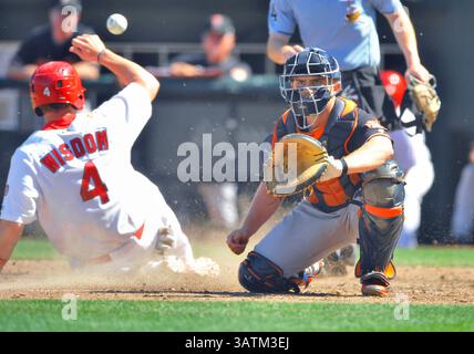 22. Mai 2016: Fresno-Catcher Max Stassi (rechts) schaut in den Ball, während Memphis-Läufer Patrick Wisdom während des sechsten Inning eines MiLB-Baseballspiels zwischen dem Round Rock Express und Memphis Redbirds im AutoZone Park in Memphis, TN, in die Startplatte gleitet. Memphis gewann mit 8:1. Austin McAfee/CSM(Kreditbild: © Austin McAfee/CSM via ZUMA Wire) Stockfoto