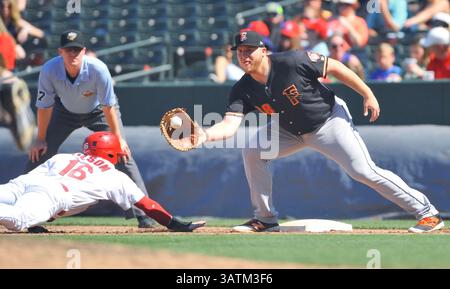 22. Mai 2016: Fresno First Baseman AJ Reed (38) versucht, einen Memphis-Läufer während des sechsten Inning eines MiLB-Baseballspiels zwischen dem Round Rock Express und Memphis Redbirds im AutoZone Park in Memphis, TN, zu identifizieren. Memphis gewann mit 8:1. Austin McAfee/CSM(Kreditbild: © Austin McAfee/CSM via ZUMA Wire) Stockfoto