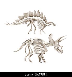 Stegosaurus und triceratops Dinosaurierskelett. Altes Fossil. Museumsausstellung. Ausgrabungsartefakt. Aquarellabbildung isoliert vom Hintergrund Stockfoto