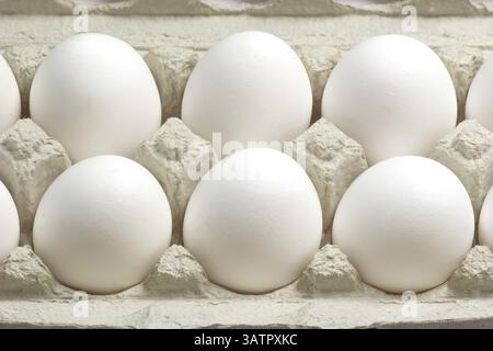 Nahaufnahme von Eiern in einem Karton Nahaufnahme von weißen Eiern in einem Karton Stockfoto