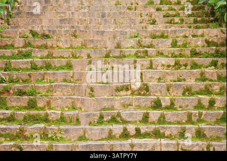 Moosige Steintreppe, als Hintergrund, Vorderansicht Stockfoto