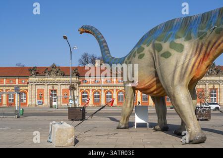 Große Figur eines Brontosaurus aus einer Dinosaurierausstellung vor dem Filmmuseum im historischen Marstall und der Kuppel der Nikolaikirche, Töpfe Stockfoto