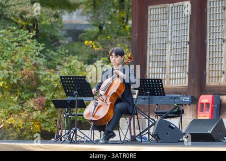 Koreanischer Mann spielt auf Violinchel im Garten des Deoksugung Palace, Seoul, Südkorea Stockfoto
