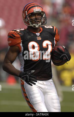 15. Oktober 2006 - Tampa, Florida, USA - 15. Oktober 2006; Tampa, FL, USA; Cincinnati Bengals (82) enge Ende Reggie Kelly während Poloshirt vor dem Bengals-Spiel mit den Tampa Bay Buccaneers im Raymond James Stadium. ZUMA Press/Scott A. Miller (Kredit-Bild: © Scott A. Miller über ZUMA Draht) Stockfoto