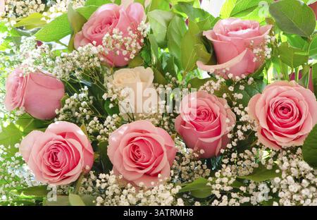 Ein Blumenstrauß - eine weiße Rose unter rosa Stockfoto