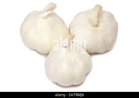 Nahaufnahme von Knoblauch - auf weißem Hintergrund zugeschnitten Stockfoto