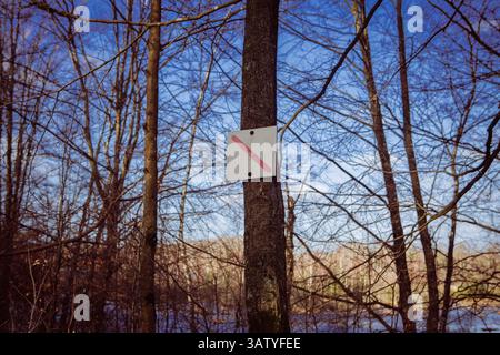 Linie auf Ziegelstein im Wald Stockfoto
