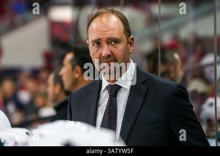 19. Februar 2016 - Raleigh, North Carolina, USA - San Jose Sharks head Coach Peter DeBoer während der NHL-Spiel zwischen den San Jose Sharks und den Carolina Hurricanes in der PNC-Arena. (Kredit-Bild: © Andy Martin Jr. über ZUMA Draht) Stockfoto