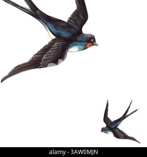 Schwalben Vögel quadratischer Rahmen im Vintage-Stil. Handgezeichnete romantische Aquarelle isolierte Tiervorlage. Perfekt für Retro-Postkarten, Valentinstag oder Stockfoto