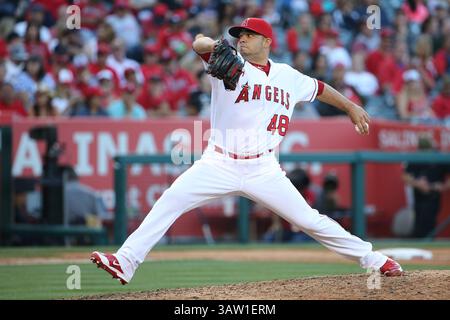 Juni 2016: Los Angeles Angels Relief Pitcher Jose Alvarez #48 Relief für die Engel im Spiel zwischen den Detroit Tigers und Los Angeles Angels of Anaheim, Angel Stadium in Anaheim, CA, Fotograf: Peter Joneleit(Credit Image: © Peter Joneleit/Cal Sport Media/CSM via ZUMA Wire) Stockfoto