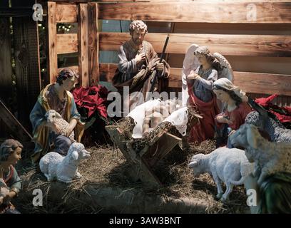 Eine Krippe mit Figuren von Maria, Josef, Jesus, Engeln und Schafen in einer Holzkrippe. Rote Poinsettien und Stroh sind im enthalten Stockfoto