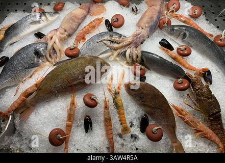 Frische Meeresfrüchte auf Eis auf dem Markt auf der griechischen Insel. Stockfoto