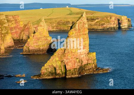 Die Stapel von Duncansby Duncansby Head, Caithness, Schottland, UK Stockfoto