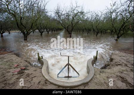 19. Januar 2016 – Modesto, Kalifornien, USA – Sturmwasser überschwemmt den 5 Hektar großen Mandelgarten des Modesto-Bauern Nick Blom in einem Experiment zur Wiederherstellung des Grundwasserleiters in Modesto. Wenn das Wasser nicht zur Blom-Farm geleitet wird, würde das Regenwasser in den Tuolumne River fließen. (Bild: © Paul Kitagaki Jr./Sacramento Bee/ZUMAPRESS.com) Stockfoto