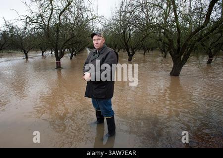 19. Januar 2016 – Modesto, Kalifornien, USA – der Modesto-Bauer NICK BLOM steht in seinem 5 Hektar großen Mandelgarten mit Regenwasser in einem Experiment zur Wiederherstellung des Grundwasserleiters in Modesto. Wenn das Wasser nicht zur Blom-Farm geleitet wird, würde das Regenwasser in den Tuolumne River fließen. (Bild: © Paul Kitagaki Jr./Sacramento Bee/ZUMAPRESS.com) Stockfoto