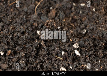 Textur feuchter fruchtbarer Böden, universell für den Anbau von Pflanzen in der Nahaufnahme Stockfoto