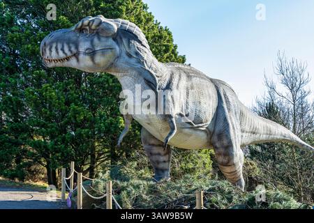 Lebensgroßes animisches Modell eines Tyrannosaurus Rex Dinosauriers in der Dinosaurier-Ausstellung im Edinburgh Zoo in Schottland, Großbritannien Stockfoto