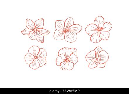 Handgezeichnete tropische Vektorblumen, skurrile Doodle Set Stock Vektor