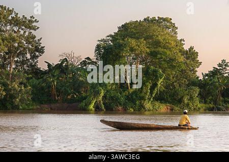 8. März 2016 - Peru - Amazonas-Regenwald: Expedition mit dem Boot entlang des Amazonas bei Iquitos, Loreto, Peru. Auf einem der Zuflüsse des Amazonas nach Iquitos, etwa 40 km in der Nähe der Stadt Indiana. (Bild: © Sergi Reboredo/ZUMA Wire/ZUMAPRESS.com) Stockfoto