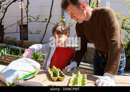 Hinterhofpflanzung: Kinder- und Erwachsenensaatgut in recycelten Eischachteln Stockfoto