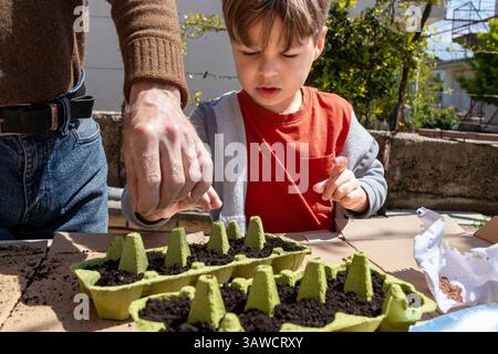 Pflanzensamen für Kinder in recycelten Eierkartons mit Erwachsenen. Umweltfreundliche Gartenarbeit Stockfoto