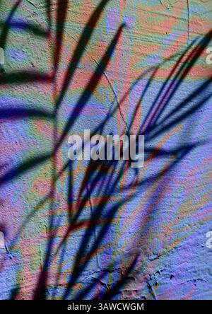 Abstrakte Kunst einer strukturierten Wand mit überlagernden Pflanzensilhouetten in auffälligen Farben und Texturen und Töne. Tropische Palme hinterlässt Schatten Stockfoto
