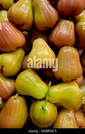 Gemischte chompoo- oder Rosenapfel (Syzygium sp.) Obst zum Verkauf an einem Marktstand in Thailand, wo es frisch mit einem Spritzer Salz oder Zucker gegessen wird Stockfoto