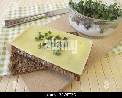 Käsebrot mit Brokkoli-Sprossen Stockfoto