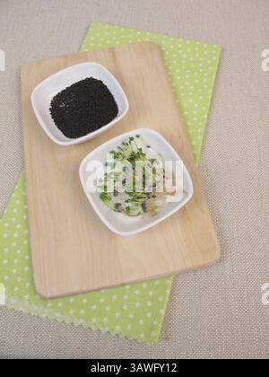 Basilikumsprossen und Basilikumsprossen Stockfoto