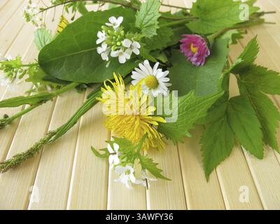 Bouquet mit wilden Kräutern Stockfoto