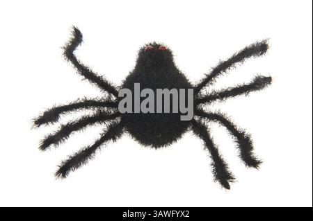 Grizzly schwarze Spinne für Halloween Stockfoto