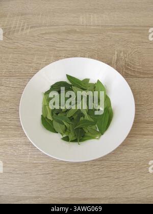 Frische Goji-Blätter auf einem Teller Stockfoto
