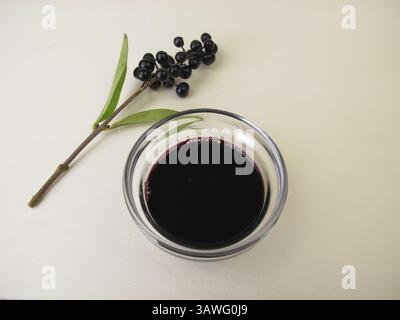 Schwarze violette Tinte aus Traubenbeeren, Traubenbeertinte Stockfoto