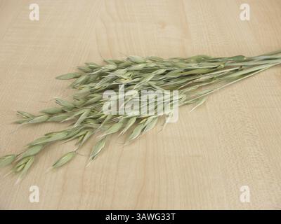 Haferbretter Stockfoto