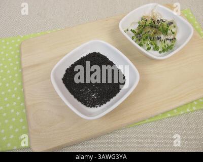 Basilikumsprossen und Basilikumsprossen Stockfoto