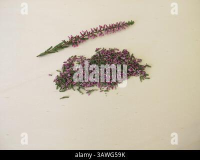 Getrocknetes Heidekraut mit Kräutern, Blättern und Blumen auf einem Holzbrett Stockfoto