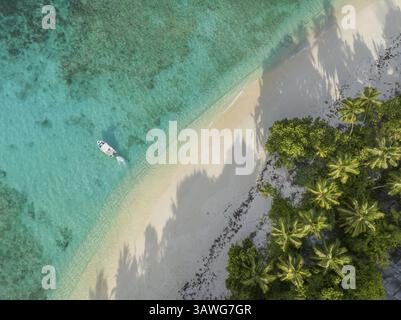 Einsamer Strand mit einem kleinen Boot und Palmen am türkisfarbenen Meer, Blick aus der Vogelperspektive, Seychellen, Mahe, Port Glaud und Therese Island, Afrika Stockfoto