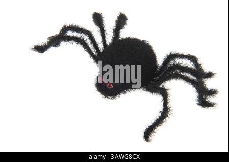 Grizzly schwarze Spinne für Halloween Stockfoto