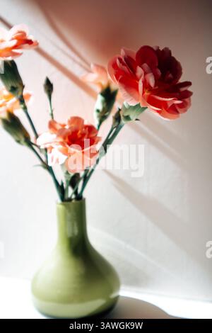 Zarte Nelken in voller Blüte, angeordnet in einer einfachen grünen Vase, in sanftes, natürliches Licht getaucht, werfen interessante Schatten. Blumenarrangements. Stockfoto