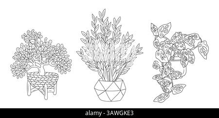 Minimalistische Linie Art Vektor populäre Zimmerpflanzen Set Stock Vektor