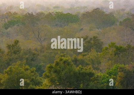 Ghana, Mole National Park. Blick von der Zaina Lodge Guest House Terrace. Stockfoto